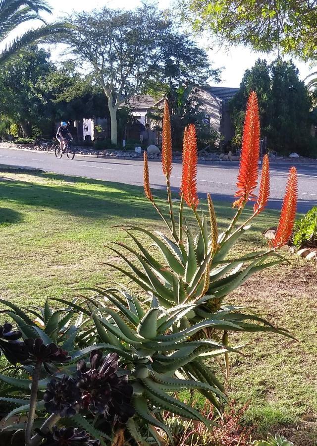 19 On Robyn Appartement Durbanville Buitenkant foto