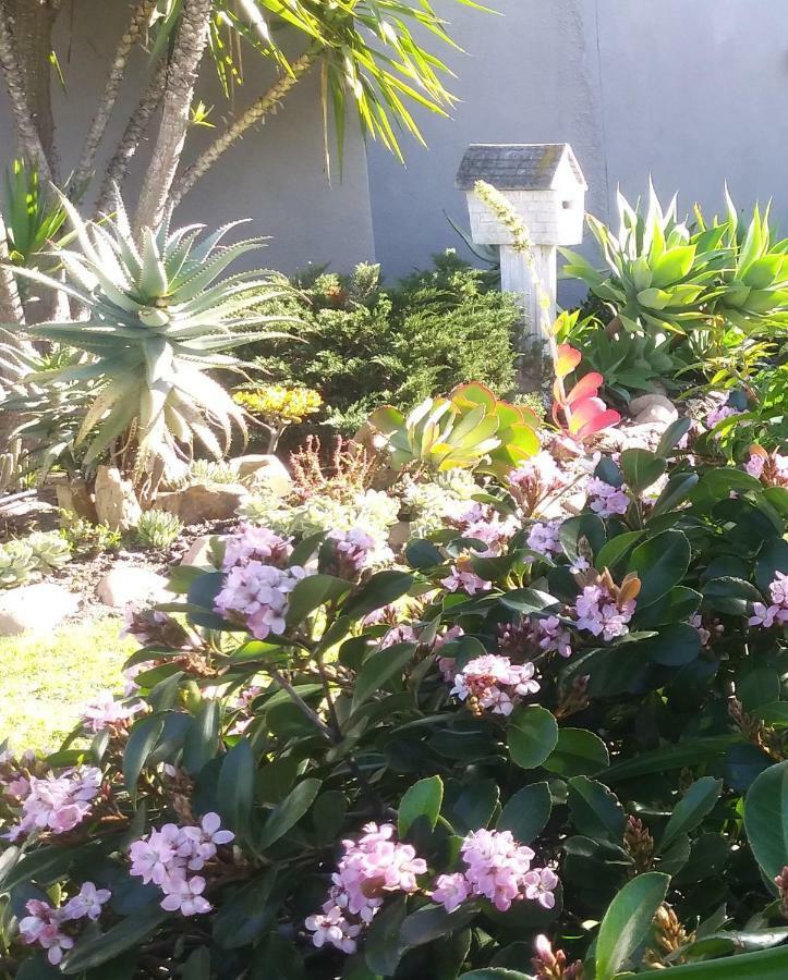 19 On Robyn Appartement Durbanville Buitenkant foto